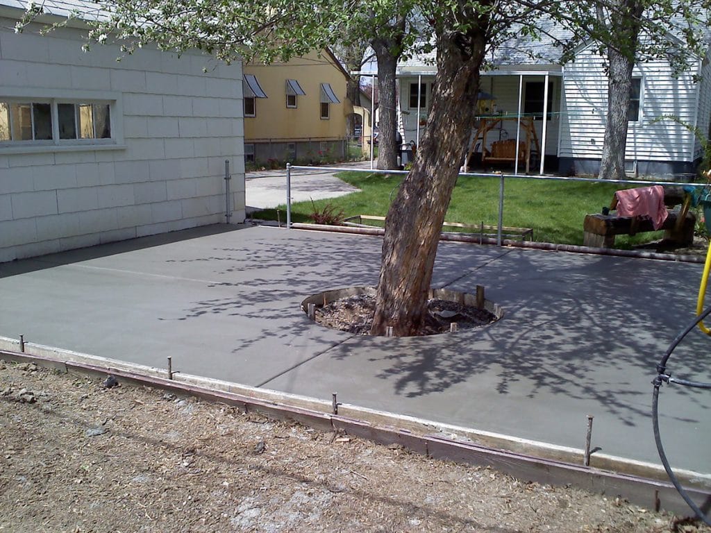 concrete patio with a tree growing through it